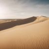 Découverte inédite : la Dune du Pilat près de Bordeaux