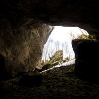 Découvrez la grotte pair-non-pair proche de Bordeaux