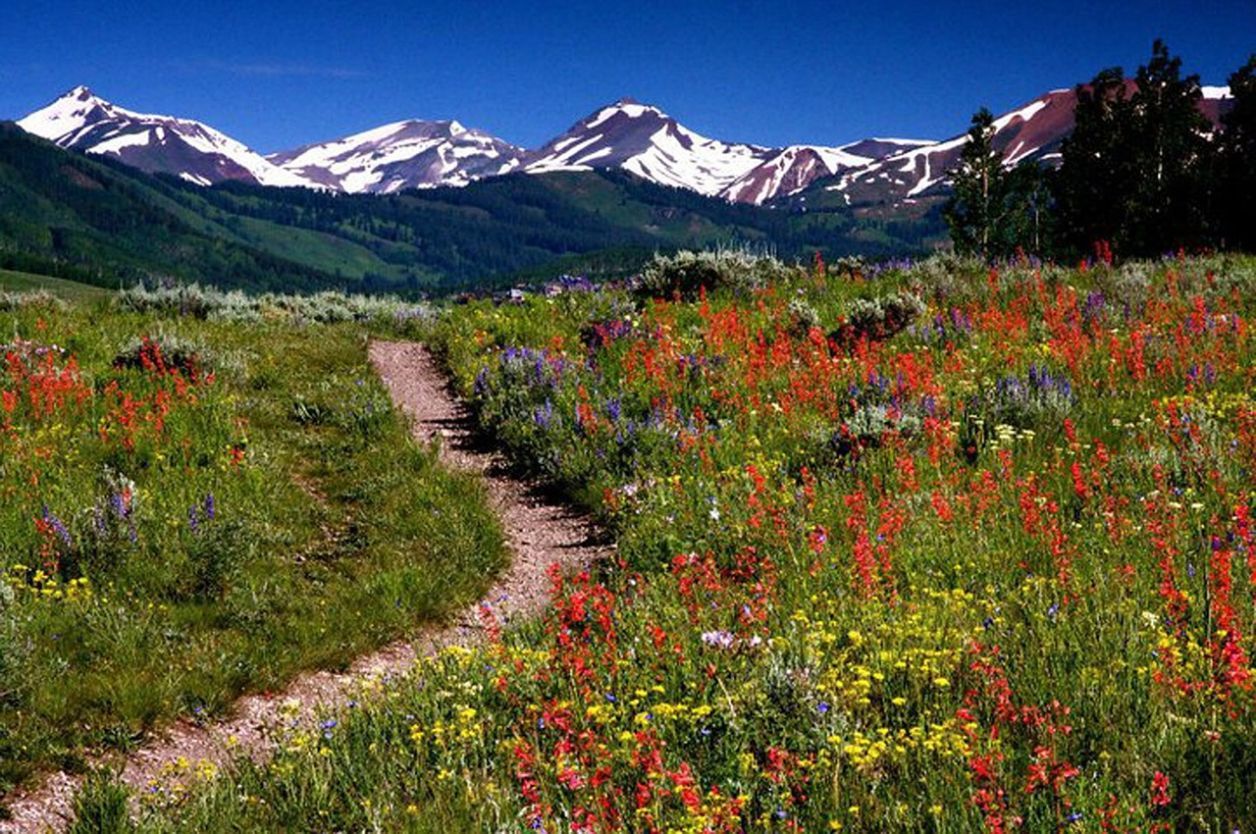 Que faire à Ambarès-et-Lagrave ?