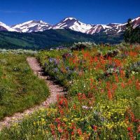 Que faire à Ambarès-et-Lagrave ?