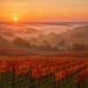 Sorties en famille autour de Bordeaux